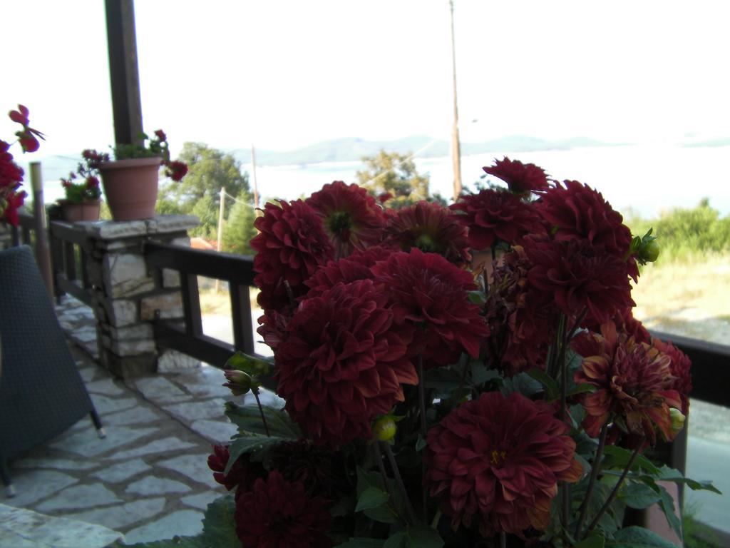 Pandion Luxury Boutique Hotel & Suites With Spa Neohóri Kültér fotó